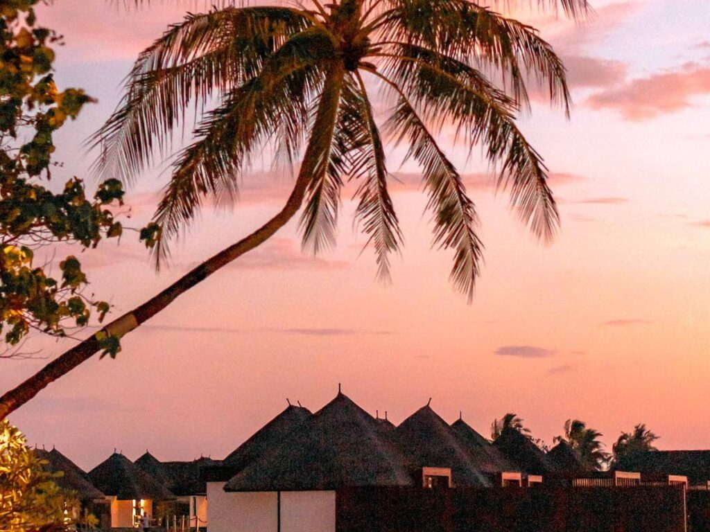 sea sunset beach vacation