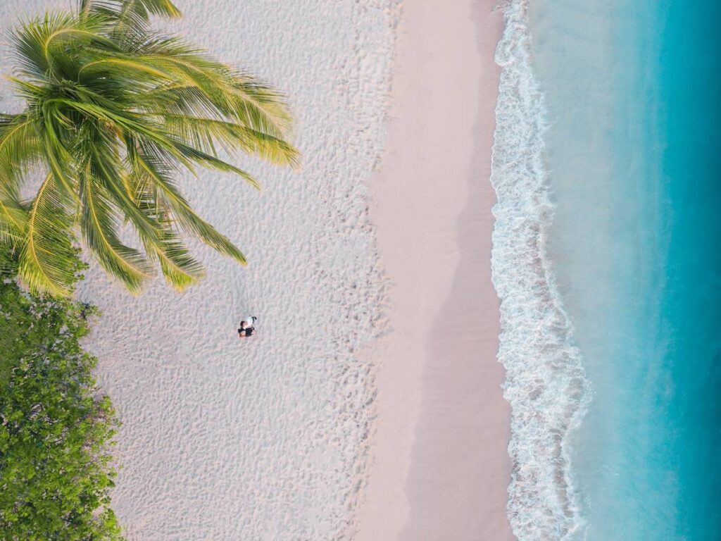 Drone Shot of People Standing on the Shore of a Beach