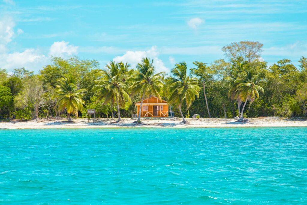 Photo of Wooden Cabin on Beach Near Coconut Trees