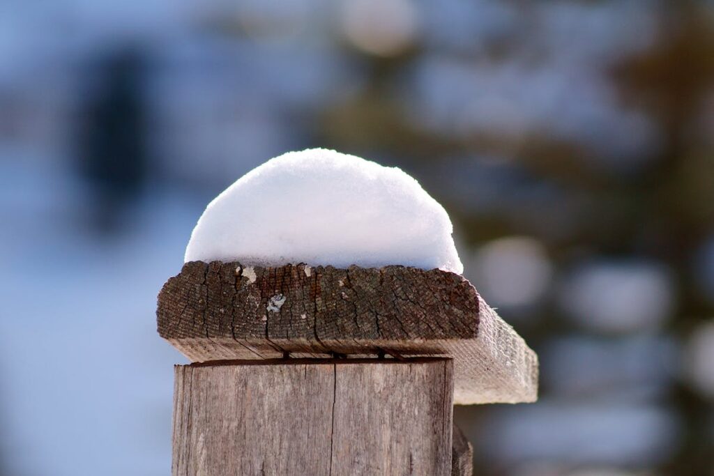 Close-up of Snow on Top of a Wooden Fence