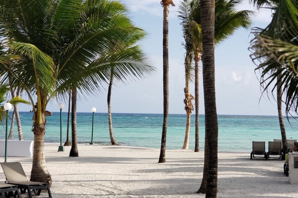 Sunloungers Near Coconut Trees on Seashore